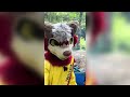 Try not to laugh 5 minutes of furries