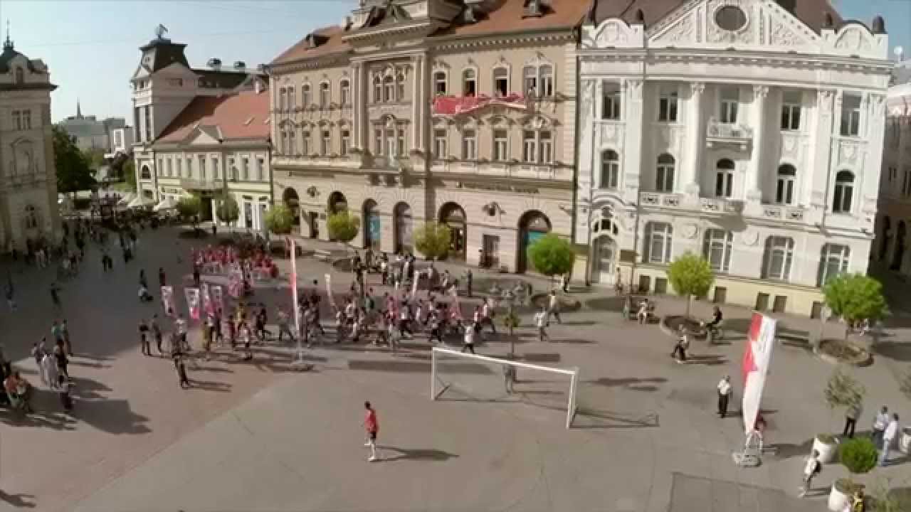 FK „Vojvodina” flash mob