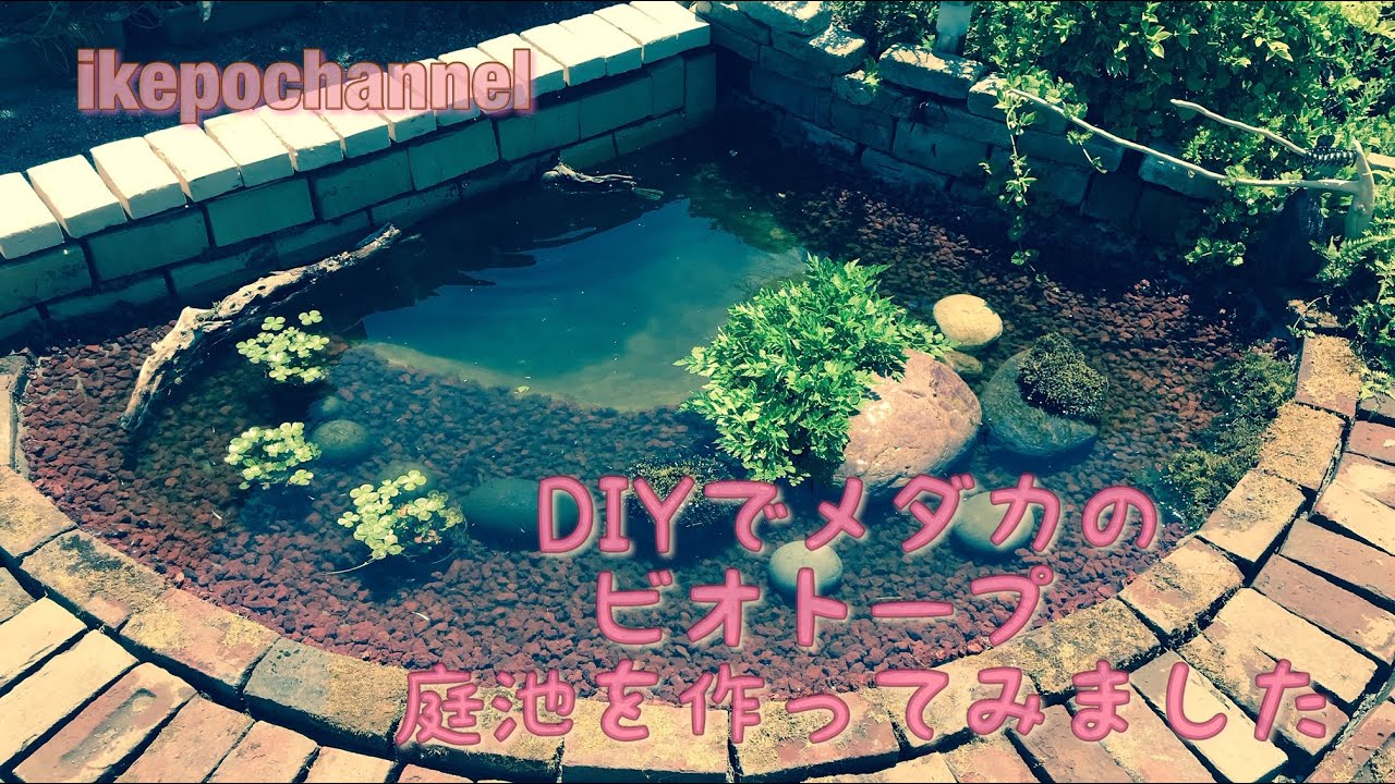 Diyでメダカのビオトープ 庭池を作ってみました I Tried To Make A Biotope Garden Pond For Medaka With Diy Youtube