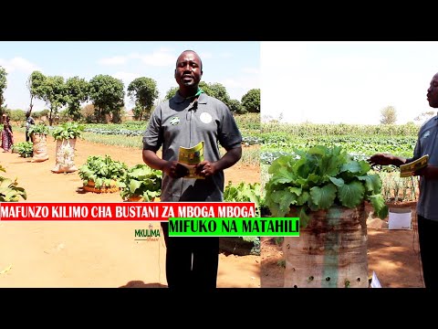 Video: Kupanda Bustani Ndogo Nyumbani