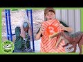 Dinosaur Dunk Tank Showdown! Dinosaurs for Kids with Jurassic World Toys at T-Rex Ranch