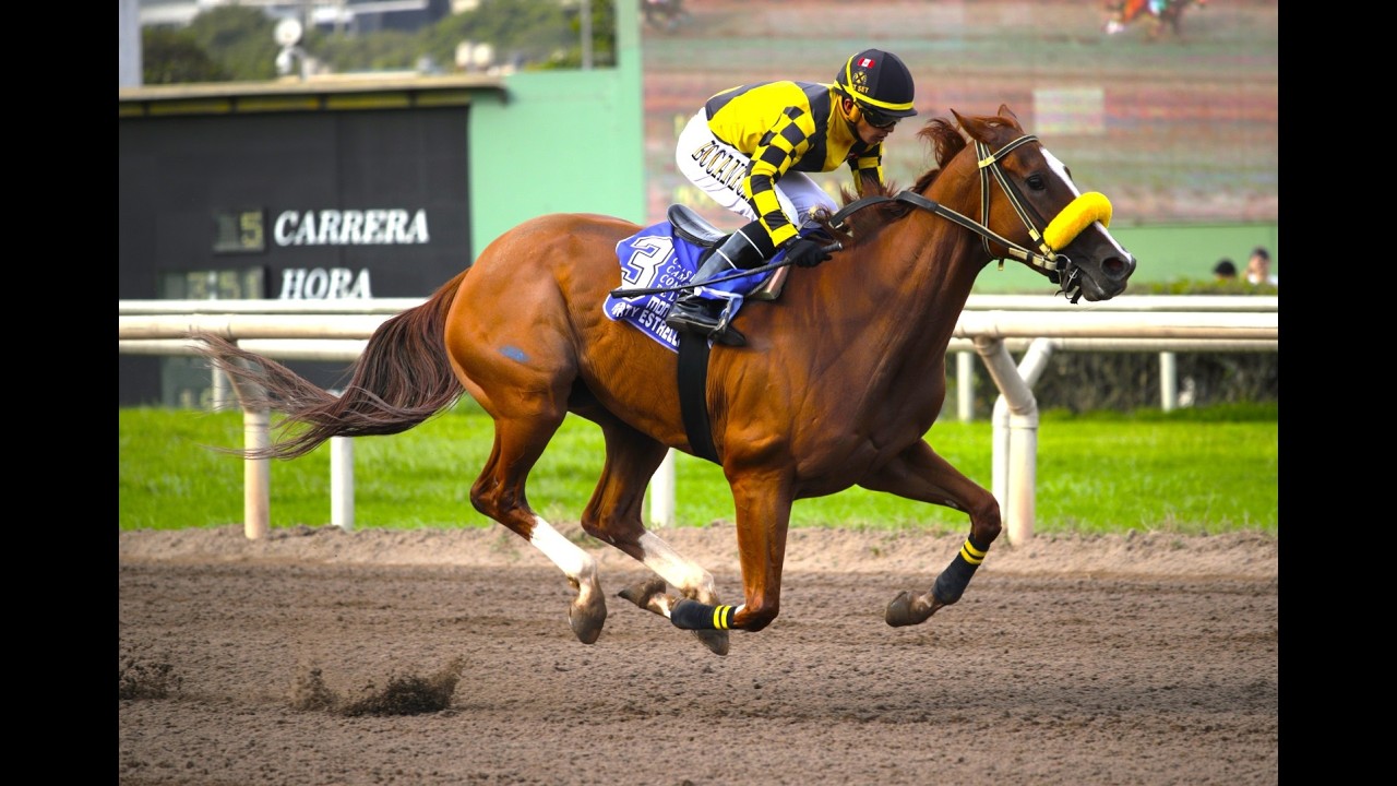 Clásico Cámara de Comercio de Lima (Per) 2026 - Forty Estrella (Arg)