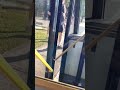 U-Go Mobility 7844 Doors Opening And Closing #shorts