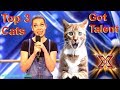 Savitsky Cats Got Talent Auditions! Amazing Cat Talent! Best Top 3 Funny Cute Animals! AGT 2018