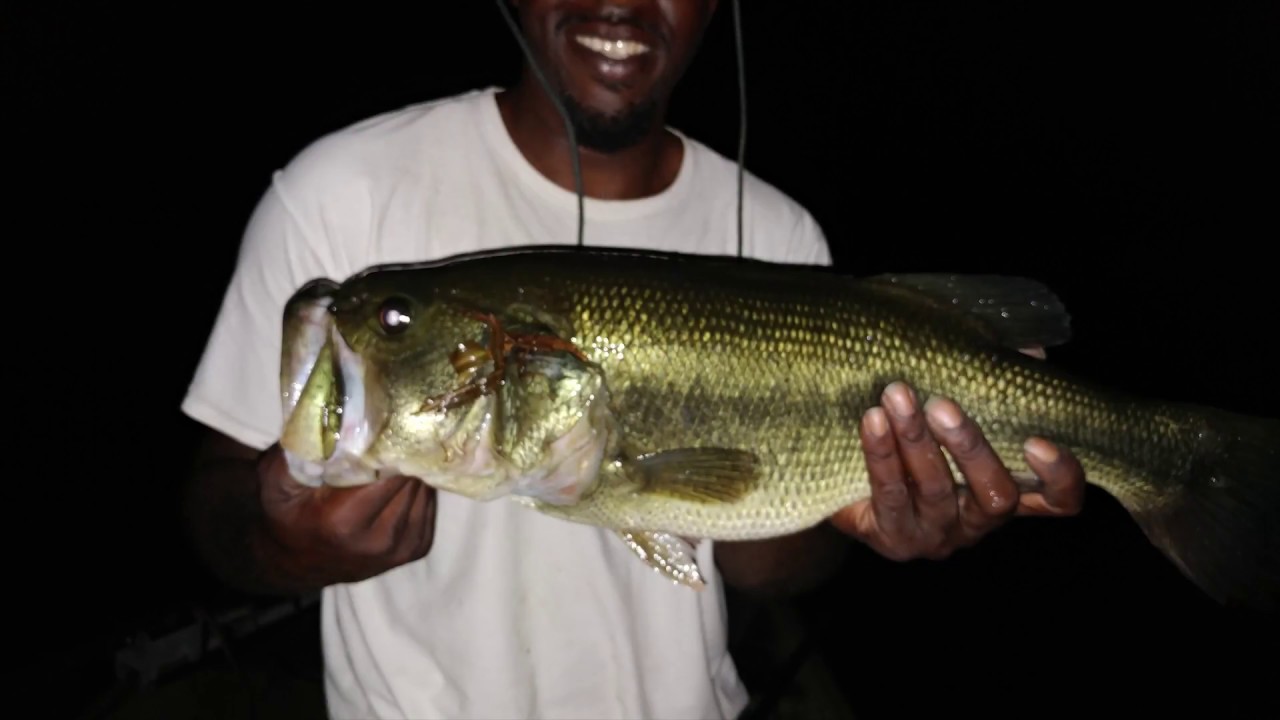 Toad hunting with the whopper plopper 130 & 110 bounus dink too !! 