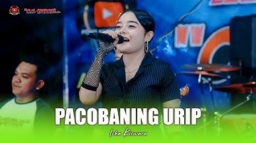 PACOBANING URIP - ICHA KISWARA - OM SAVANA SAKJOSE - THE WEDDING ( LUCKYTA & ANDI )