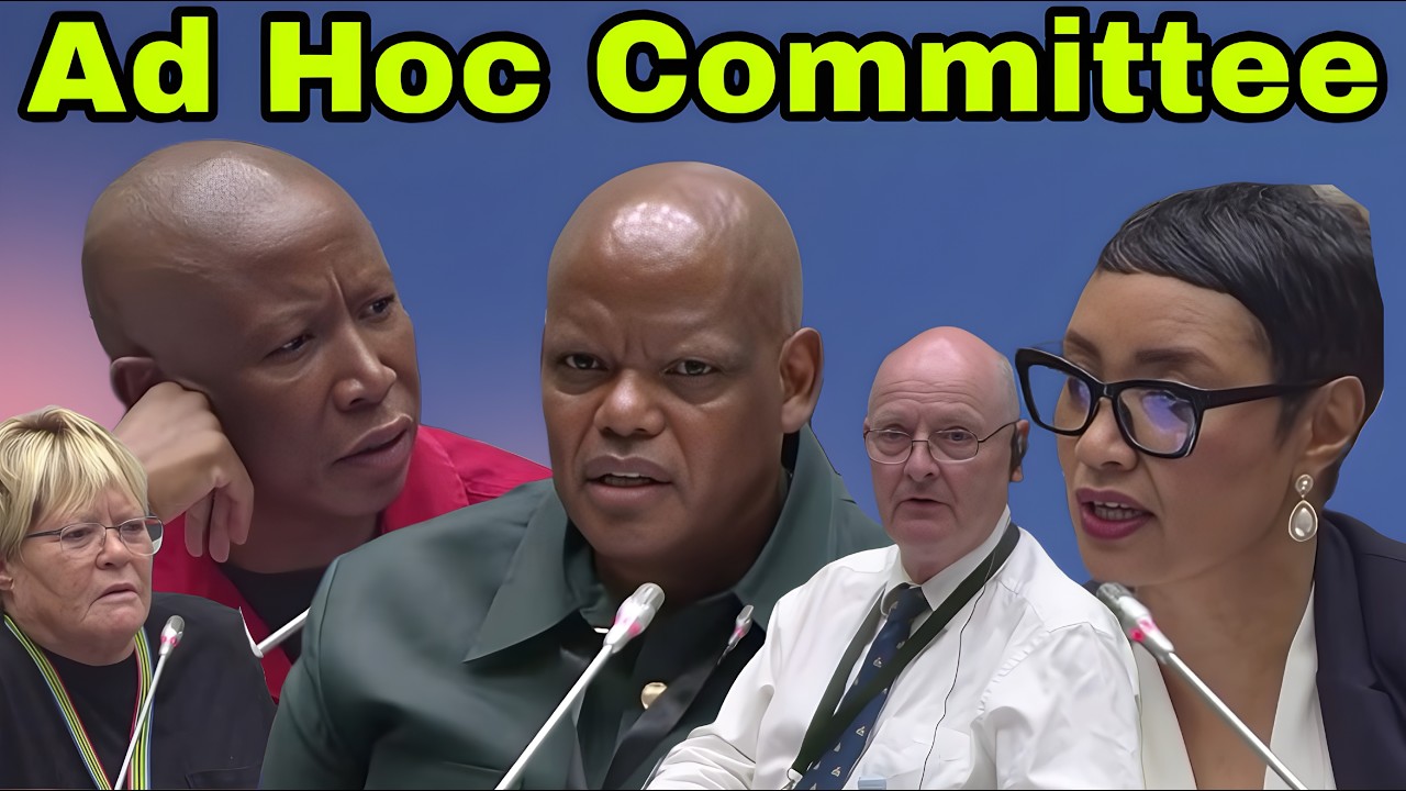 Paul O'Sullivan & Khomotso Phahlane appear at Ad Hoc Committee.
