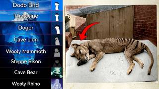 Preserved Ancient Animals Iceberg Explained