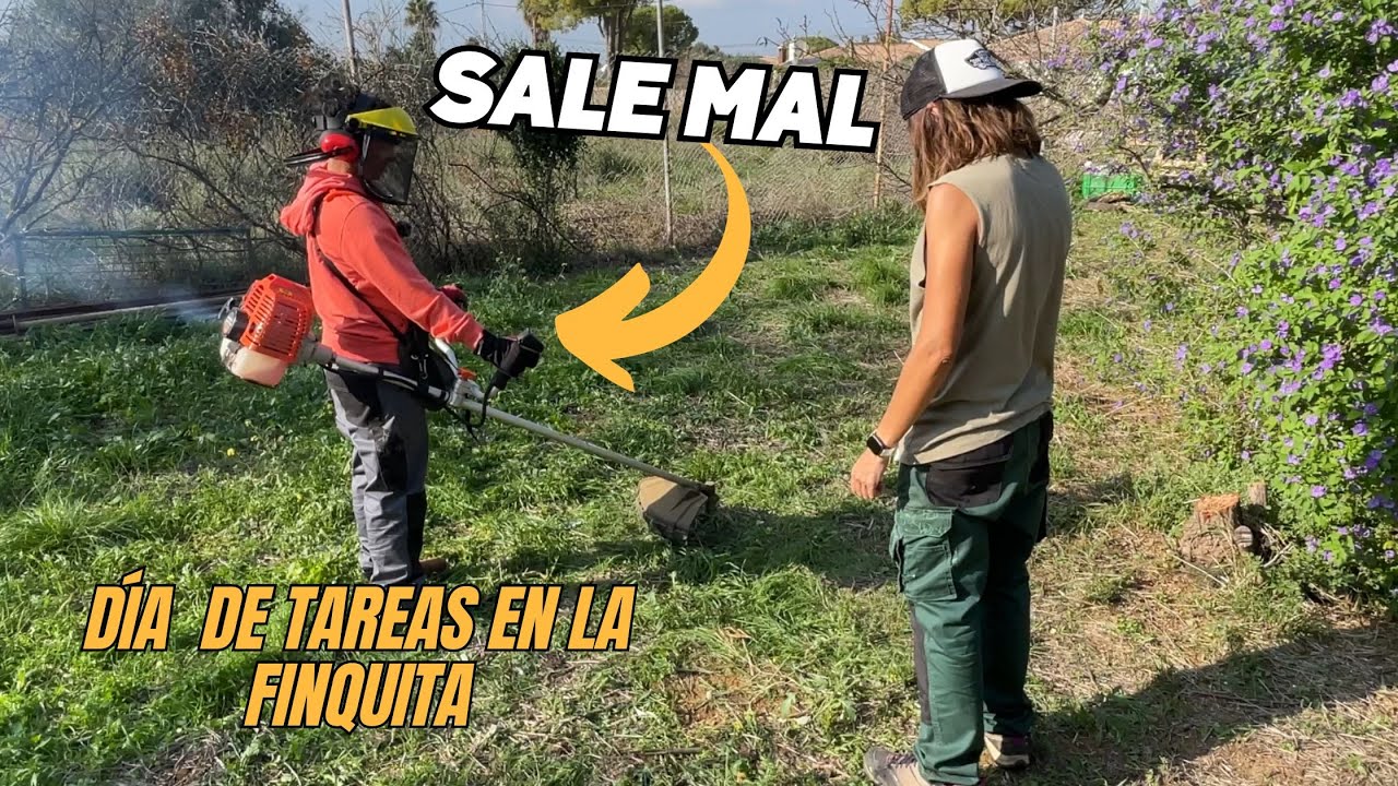 🤦🏿‍Enseño a Isa a desbrozar! Visitamos el fondo del terreno y hacemos labores por la finquita🐔Vlog43