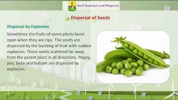 Knowledge Tree Books E.V.S Class 5 Chapter 8