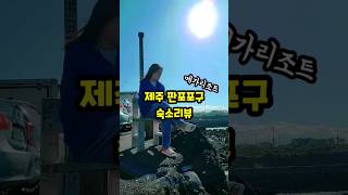 제주 판포포구 숙소 솔직리뷰 #먹구리 #내돈내산 #숙소 #shorts