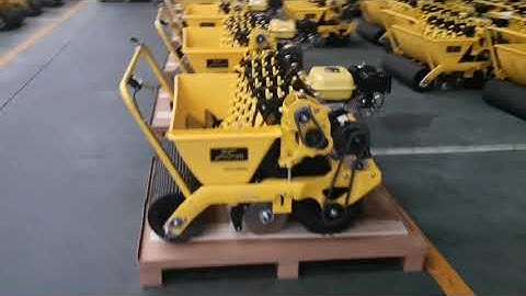 DEB garlic seeding machine, garlic seeder, self driven garlic seed planter ,export to USA