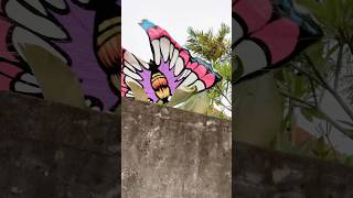 Download Lagu Detik detik layangan kupu kupu gagal mengudara😂😂#layangan #kupukupu #shorts MP3