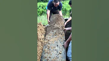 Opening Up A 52 Year Old Coffin Shorts 