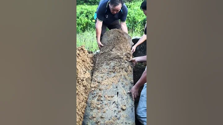 Opening Up A 52 Year Old Coffin #shorts - DayDayNews