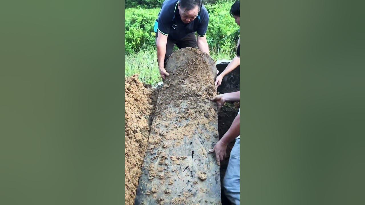Opening Up A 52 Year Old Coffin #shorts Opening Up A 52 Year Old Coffin #shorts