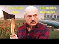 Лукашенко испугался санкций! Стальные яйца оказались фрикадельками