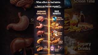 What effect do bad habits have on human organs?#shorts ✨Daily Life, art & Knowledge💻📚🖊️ #lubsnest