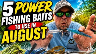 Best Baits to Use in August for Non Stop Bites