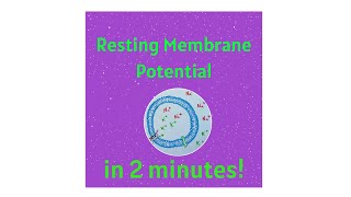 Resting Membrane Potential in under 2 mins!