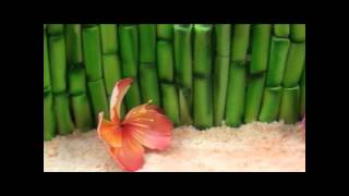 Hawaiian Cake - Complete Deelite