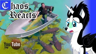 Chaos Reacts Ytp Psycho Swifts Wet Waterproof Worldwide Destruction