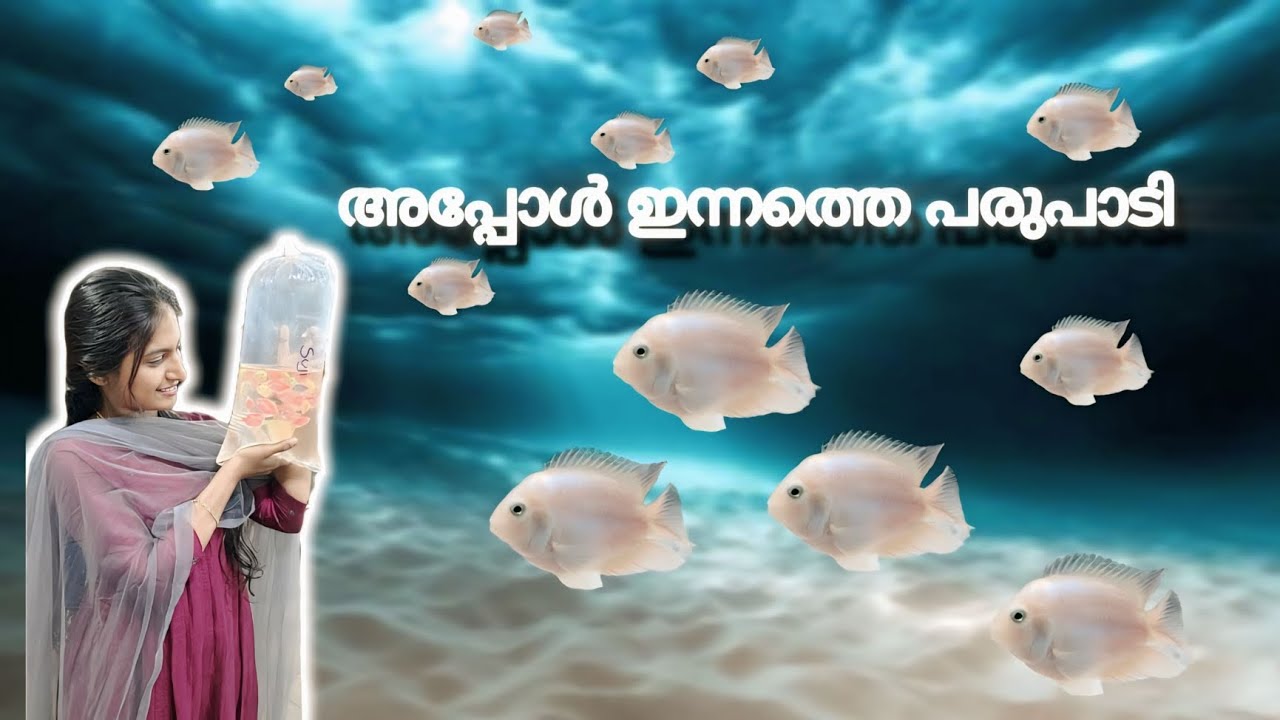 Aquarium വാങ്ങാൻ പോയി പണി കിട്ടി Guy's.... 😹‼️