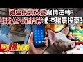 非洲豬瘟全台爆發