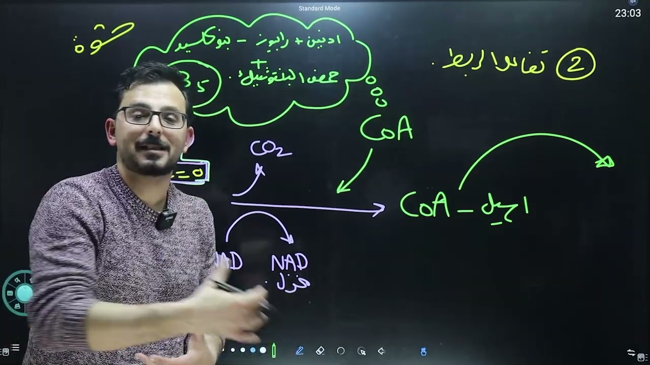 الدرس الثاني التنفس الهوائي(الجزء الثاني )للصف الثاني عشر كامبريدج