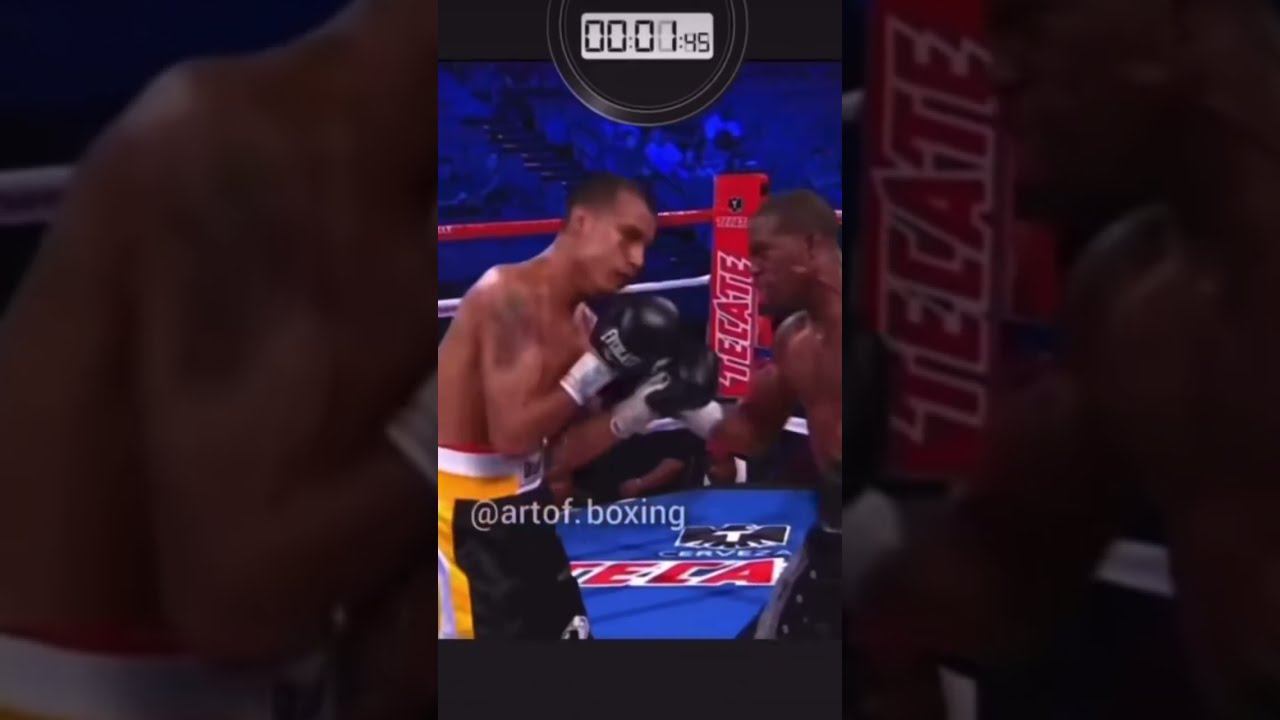 9 Punches In 2 Seconds