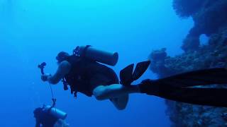 DEVIL'S THROAT - ISLA COZUMEL - INFO@DIVEWITHJULIO.COM