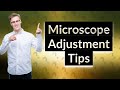 What is the function of the stage adjustment on a microscope