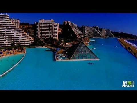 the world's largest pool