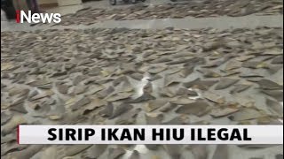 635 Kg Sirip Hiu Ilegal Disita Di Pelabuhan Miami, Amerika Serikat - Inews Malam 0702