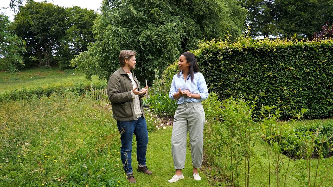 Garden Diaries with Diana Yates: South-Facing Border