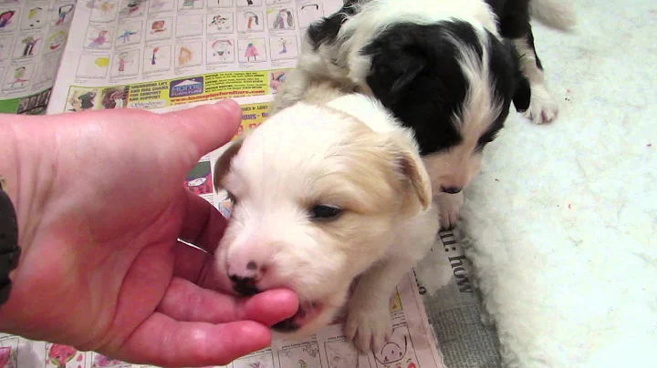 First visit to see Finley at Cathy's 15/16 April (...