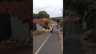 Download Lagu Duo Merpati dan Jalanan Sepi #tafakoernature MP3