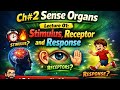 Class 6 Science Chapter 2 Sense Organs | Stimulus Receptor Response | Sindh Board.