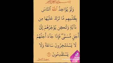 الاية 61 من سورة النحل