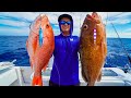A Fishermans PARADISE! Catch Clean Cook (GIANT Snapper & Grouper)