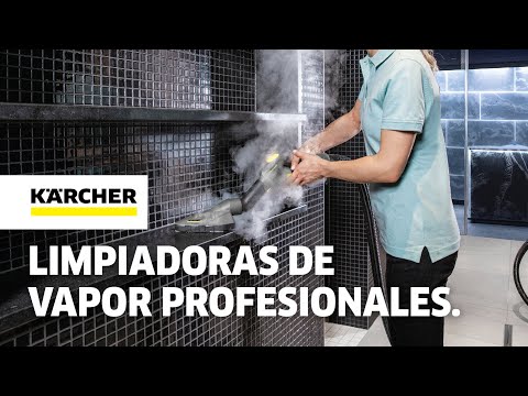 Limpiadoras de vapor Professional
