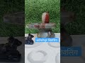 Ardhanareshwar narmadeshwar shivling ph 7772020175 shiv tandav stotram shorts like shiv mahakal