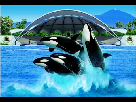 LORO PARQUE (PARK)