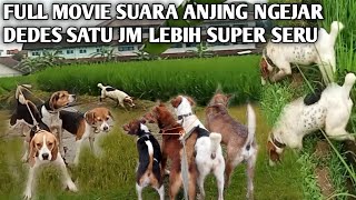 FULL MOVIE SUARA ANJING NGEJAR DEDES SATU JM LEBIH SUPER SERU