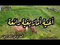 أغنية أمازيغية رائعة ت لامس القلب موسيقى أمازيغية أصيلة وإحساس لا ي نسى 