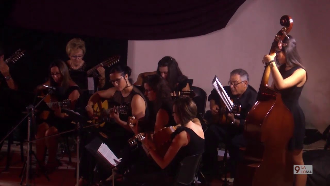 Eventos · Concierto de pulso y púa, Torreperogil