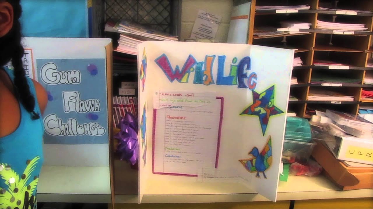 Adems School Science Fair 2013