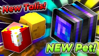 How To Get Minister Talismans AND New Pet Hypixel SkyBlock