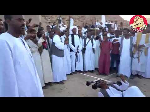 Tigre Music Ibrahim Nory ابراهيم نوراي اغنية حريكو