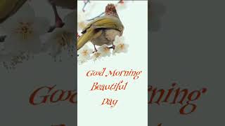 good morning gif animation